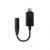 Asus AI Noise-Canceling USB-C to 3.5 mm Mic Adapter - Image 3